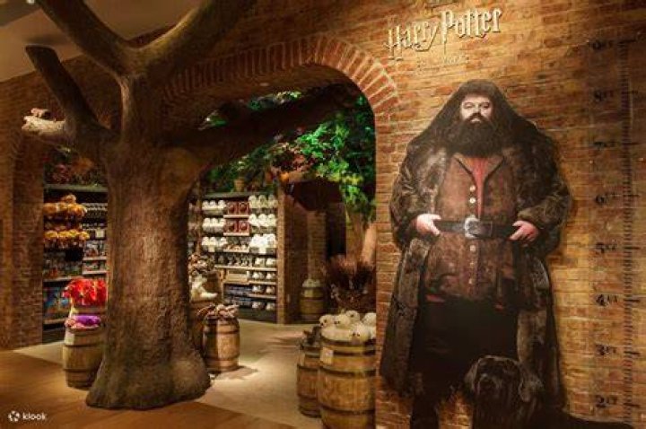 Discover The Magic Of Harry Potter Shops In New York City