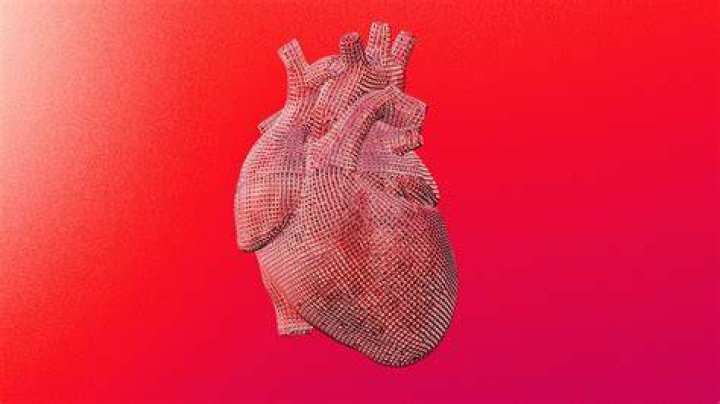 Discoveries And Insights For Enhanced Heart Health