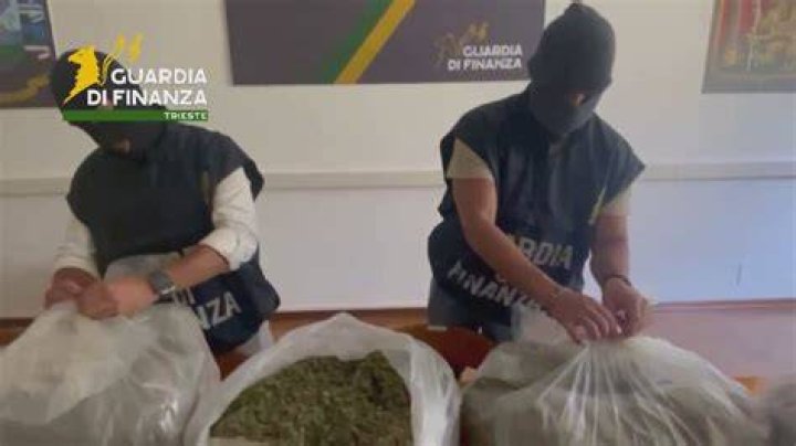 Duro colpo ai fedeli di Matteo Messina Denaro spunta anche una foto