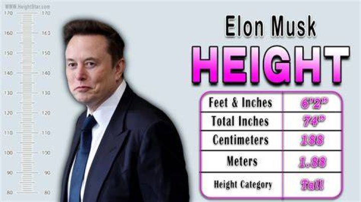 Elon Musk Height (Feet, Inches, CM), Weight, Age, Bio — HaiKhuu Trading