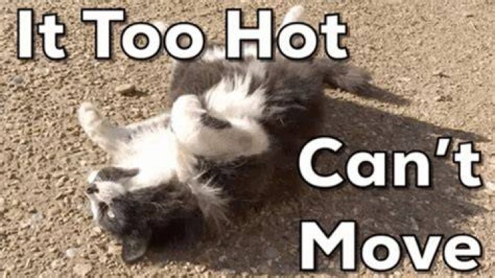 Pin on too hot too handle