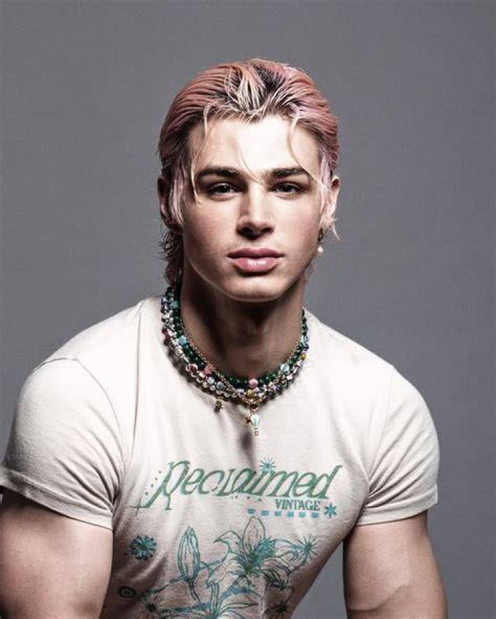 Uncover The Intriguing Journey Of Pierre Boo: Age And Artistic Evolution