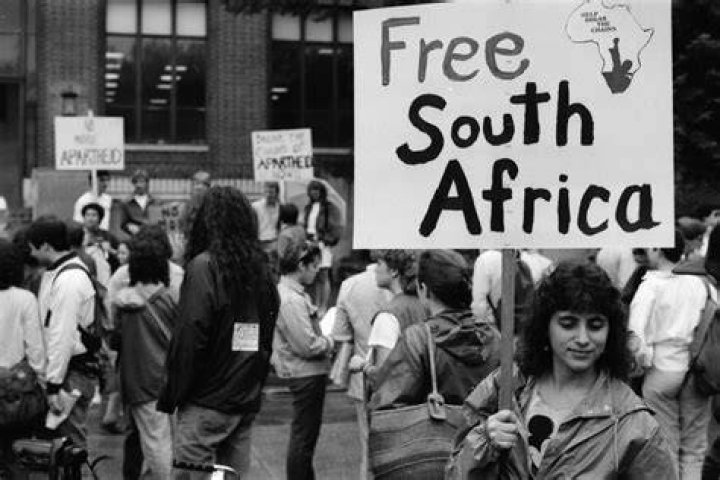 Uncovering The Power Of Education Against Apartheid