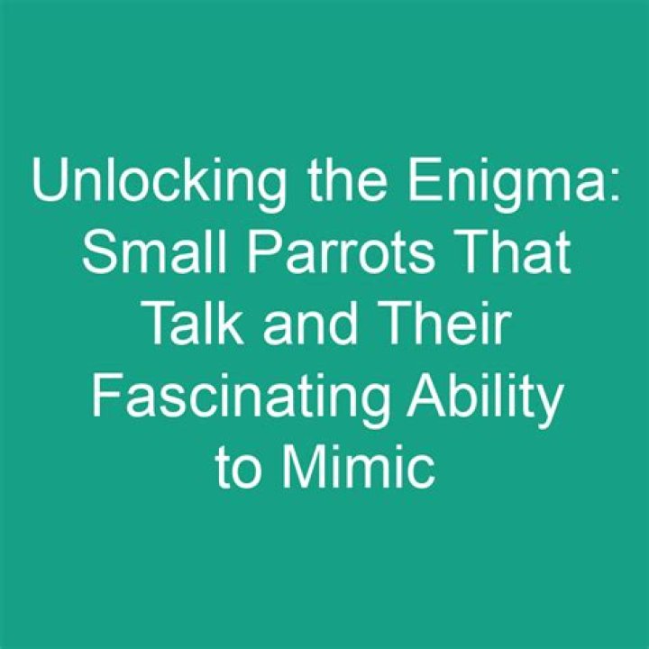 Unlocking The Enigma Of Their Unique Names